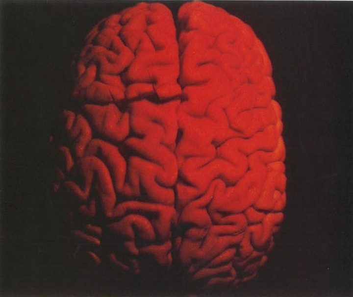 Museum of Holography